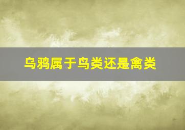 乌鸦属于鸟类还是禽类