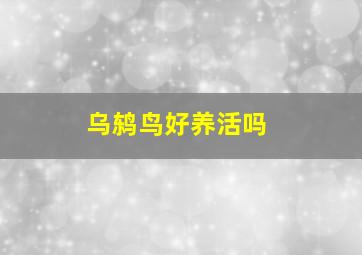 乌鸫鸟好养活吗