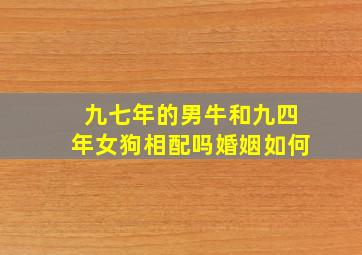 九七年的男牛和九四年女狗相配吗婚姻如何