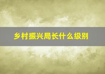 乡村振兴局长什么级别