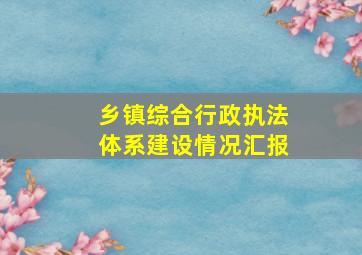 乡镇综合行政执法体系建设情况汇报