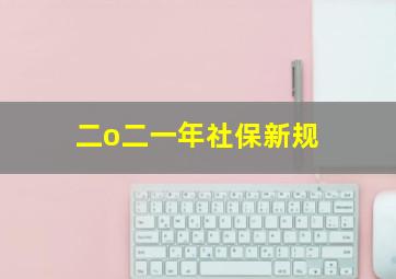 二o二一年社保新规