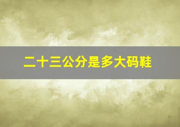 二十三公分是多大码鞋