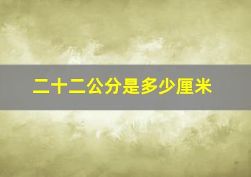 二十二公分是多少厘米