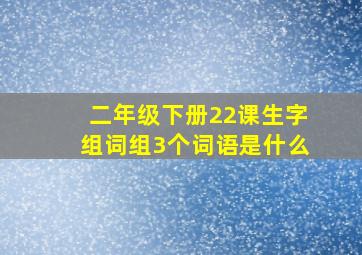 二年级下册22课生字组词组3个词语是什么