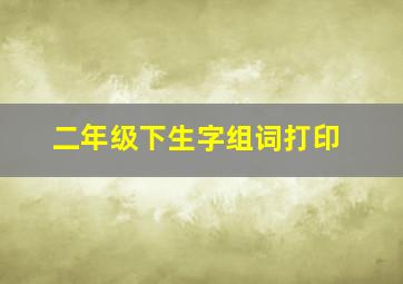 二年级下生字组词打印