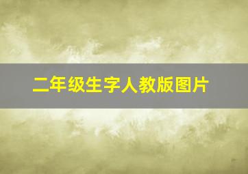 二年级生字人教版图片