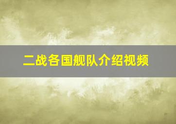 二战各国舰队介绍视频