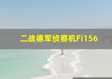 二战德军侦察机Fi156