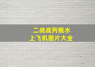 二战战列舰水上飞机图片大全