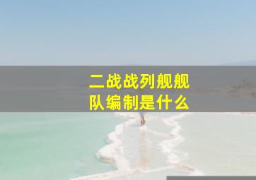 二战战列舰舰队编制是什么