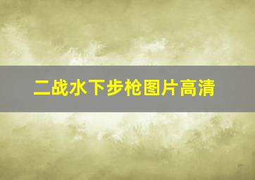 二战水下步枪图片高清