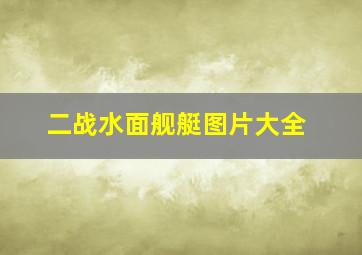 二战水面舰艇图片大全