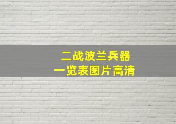 二战波兰兵器一览表图片高清