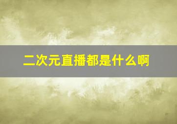 二次元直播都是什么啊