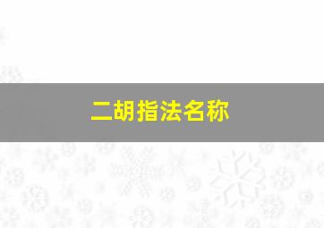 二胡指法名称