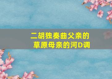 二胡独奏曲父亲的草原母亲的河D调