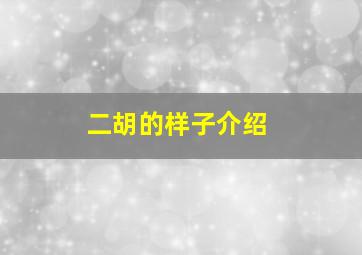 二胡的样子介绍