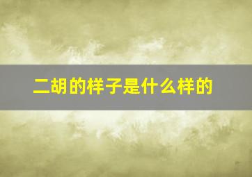 二胡的样子是什么样的