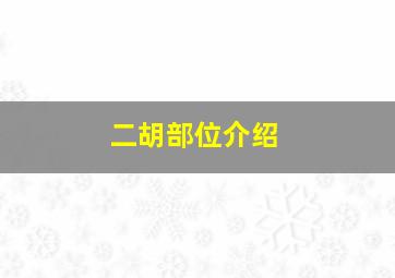 二胡部位介绍