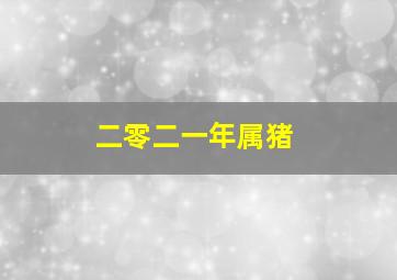 二零二一年属猪