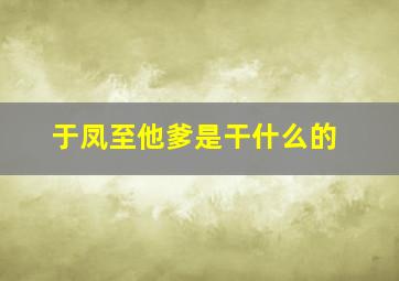 于凤至他爹是干什么的