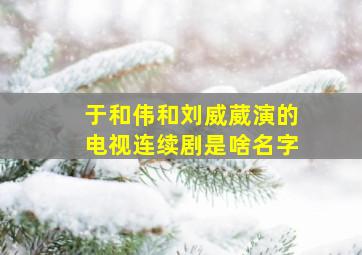 于和伟和刘威葳演的电视连续剧是啥名字