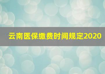 云南医保缴费时间规定2020