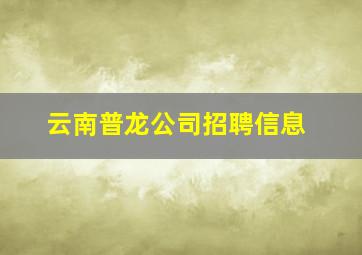 云南普龙公司招聘信息