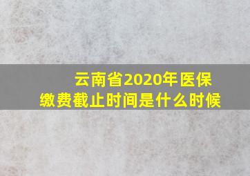 云南省2020年医保缴费截止时间是什么时候