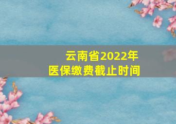 云南省2022年医保缴费截止时间