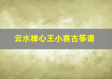 云水禅心王小赛古筝谱