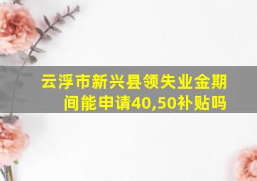 云浮市新兴县领失业金期间能申请40,50补贴吗