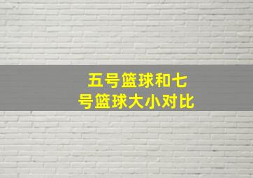 五号篮球和七号篮球大小对比