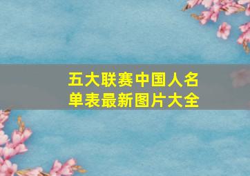 五大联赛中国人名单表最新图片大全