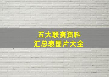 五大联赛资料汇总表图片大全