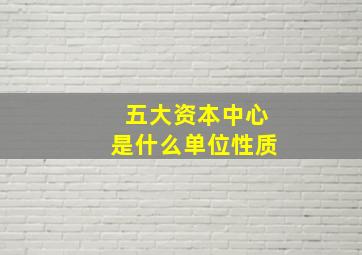 五大资本中心是什么单位性质