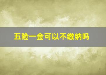 五险一金可以不缴纳吗