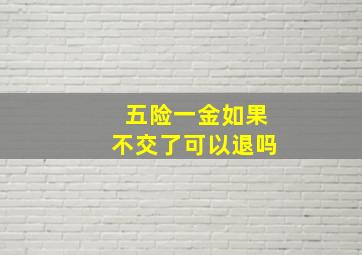 五险一金如果不交了可以退吗