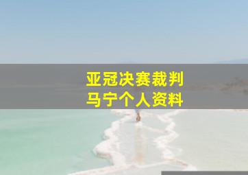 亚冠决赛裁判马宁个人资料