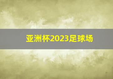 亚洲杯2023足球场