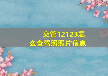 交管12123怎么查驾照照片信息