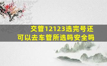 交管12123选完号还可以去车管所选吗安全吗