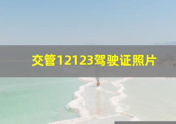 交管12123驾驶证照片