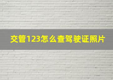 交管123怎么查驾驶证照片