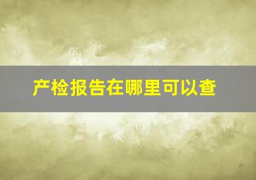 产检报告在哪里可以查