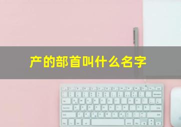 产的部首叫什么名字