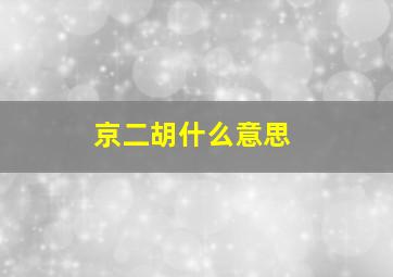 京二胡什么意思