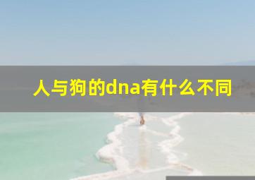 人与狗的dna有什么不同