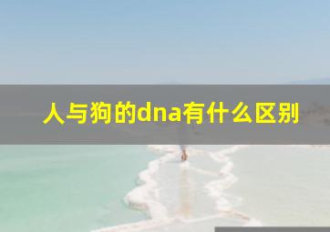 人与狗的dna有什么区别